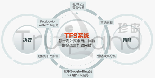 TFS系统