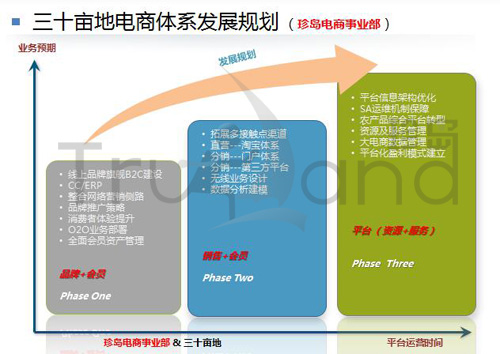 三十亩地电商体系发展规划