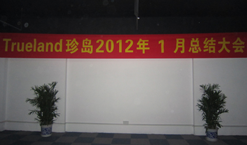 珍岛2012年1月总结大会